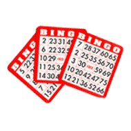 Standard Bingo Hard Cards